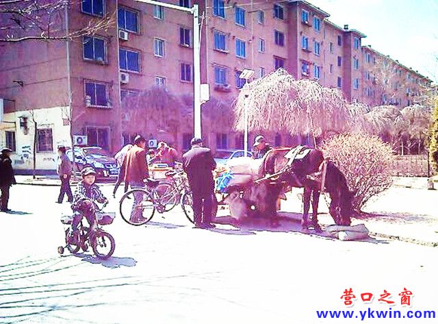 “低碳”叫賣(mài)熏蒙了誰(shuí)