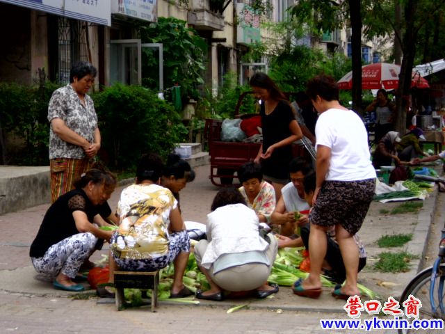 青青嫩苞米 天天跳農(nóng)門