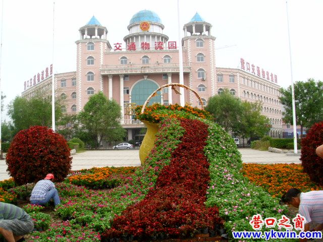 裝土“大痰盂”已栽滿鮮花