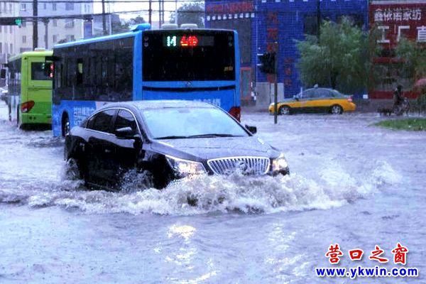 營口大雨傾城 車輛秒變船