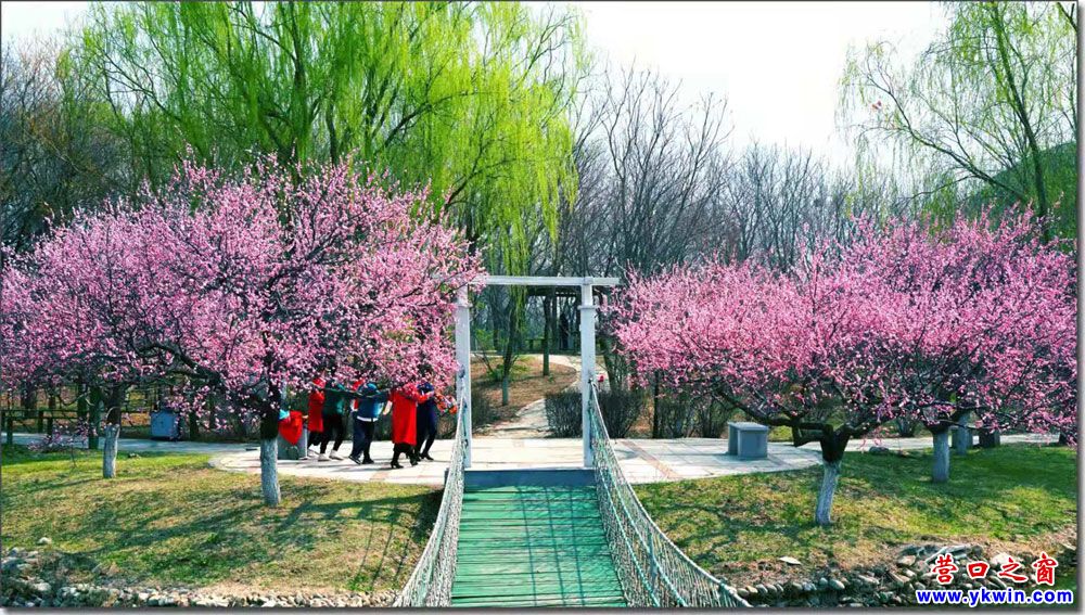 熊岳植物园