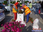 千萬朵牽牛花遷回渤海大街邊