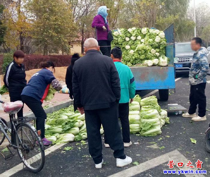 营口市大菜市尾声：价格有变